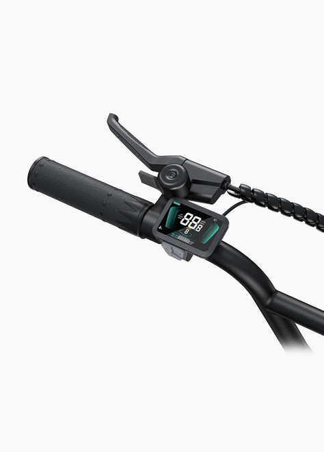 ENGWE L20 Boost Tiefeinsteiger E-Bike