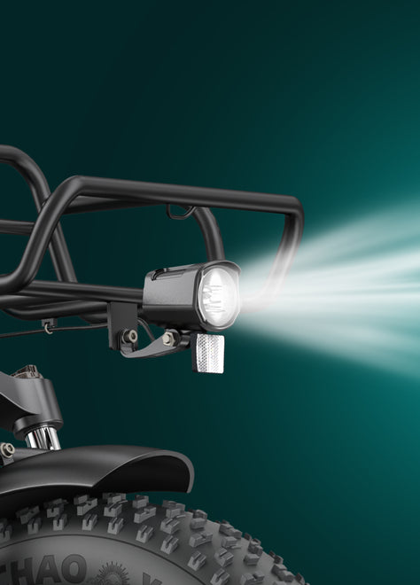 ENGWE L20 Boost Tiefeinsteiger E-Bike