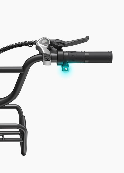 ENGWE L20 Boost Tiefeinsteiger E-Bike