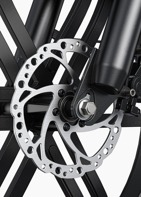 ENGWE L20 Boost Tiefeinsteiger E-Bike