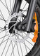L20 3.0 Pro Electric Bike