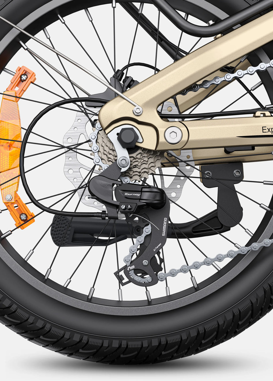 L20 3.0 Pro Electric Bike