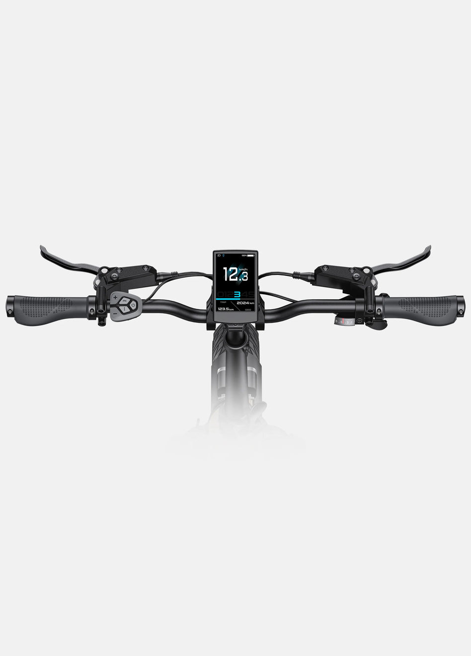 L20 3.0 Pro Electric Bike