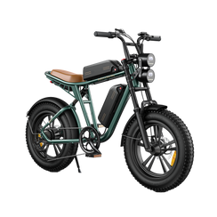 M20 Motorcycle-styled Electric Bike