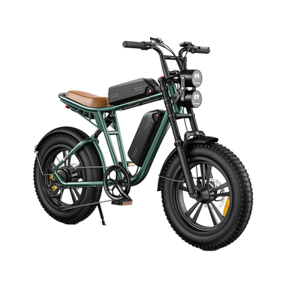 M20 Motorcycle-styled Electric Bike